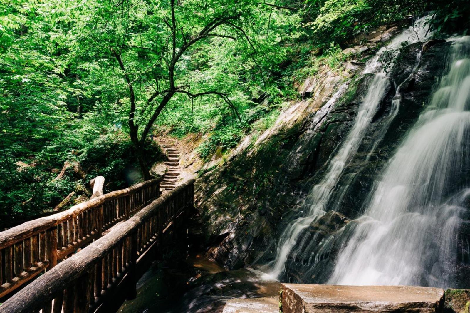 Hidden Star Hideaway-Blackberry Farm-Smoky Mtn Nat Park-Hot Tub- Fire Pit- Fenced Yard- Pet Friendly Walland Dış mekan fotoğraf